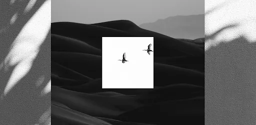 EPIK - AI Photo & Video Editor background